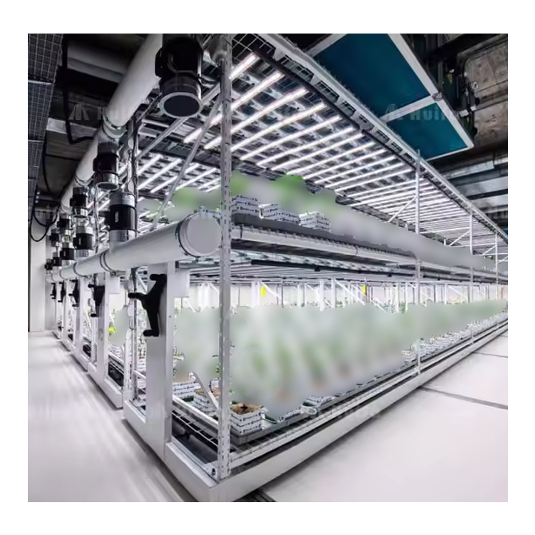 Vertical Grow Rack Systems Solution Custom-Built For Your Growing Industry