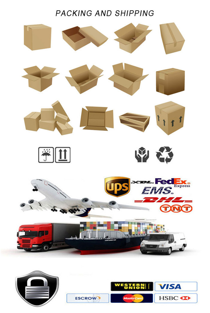 Packaging and Delivery Details