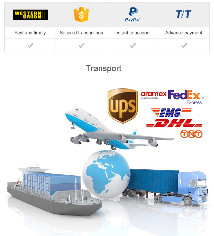 Transport Logistics
