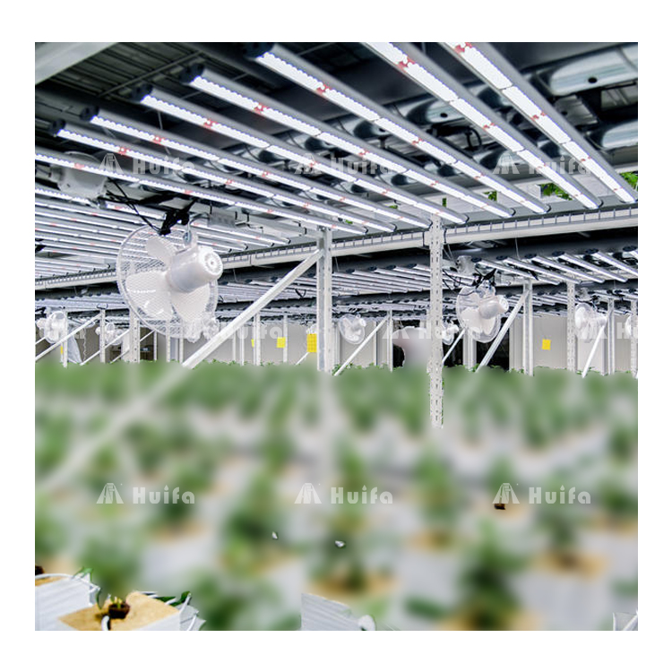 Vertical Grow Rack Systems Solution Custom-Built For Your Growing Industry