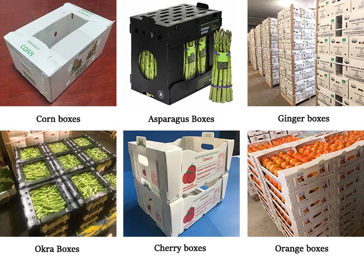 Fruit and vegetable packaging boxes