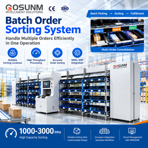 Customized High-Speed Durable Stainless Steel Put Wall Sorting System Warehouse Automation E-commerce Fulfillment Order Picking