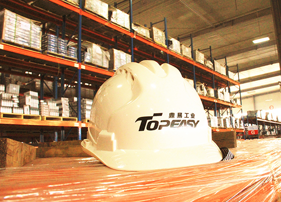 Topeasy Industry Facility